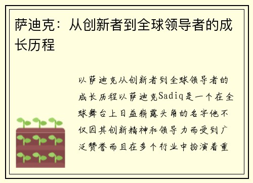 萨迪克:从创新者到全球领导者的成长历程